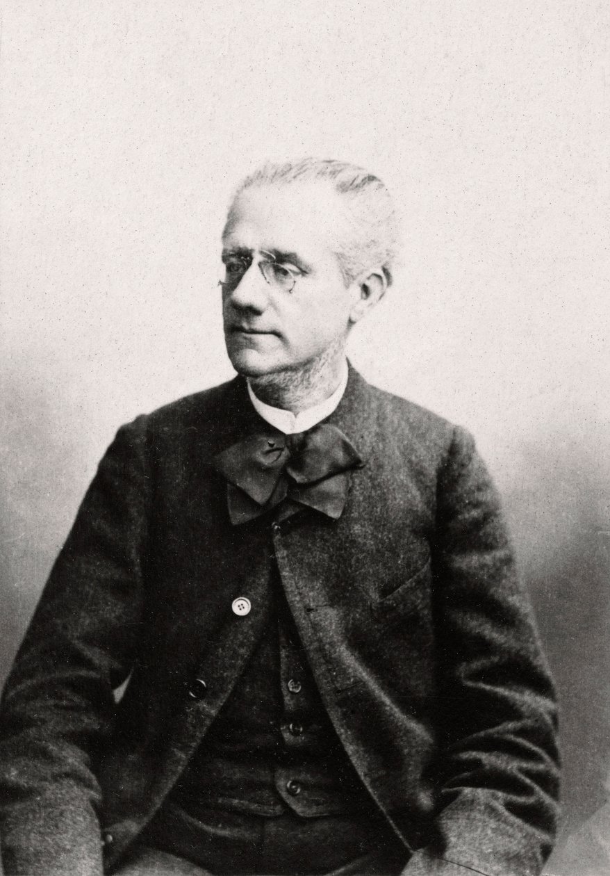 लुई यूजीन पॉइलेट का पोर्ट्रेट (1835-1905) वकील, निजी संग्रह द्वारा अनाम अनाम