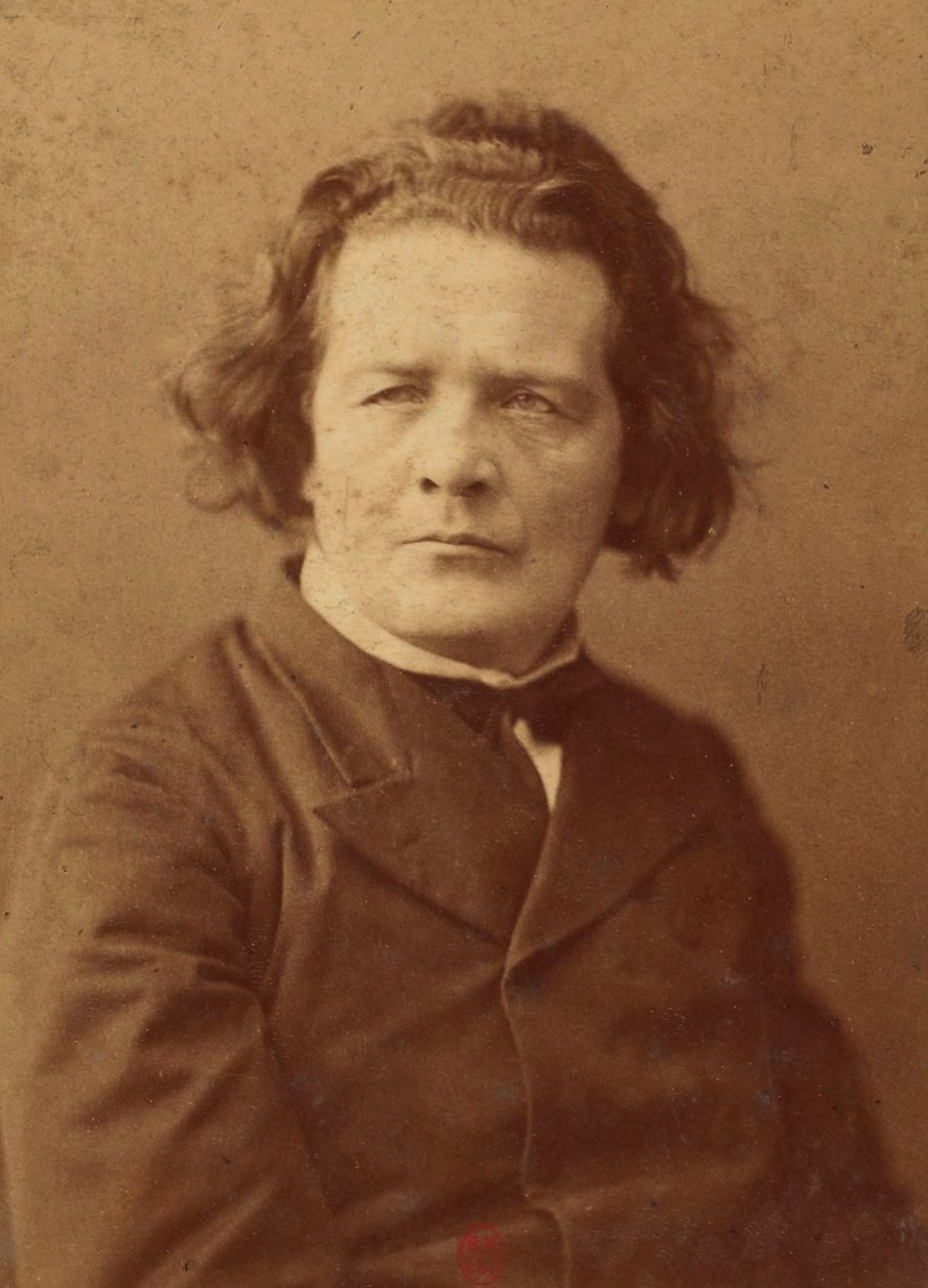 संगीतकार एंटोन रुबिनस्टीन (1829-1894) का पोर्ट्रेट, बेनामी। एल्बुमिन फोटो। निजि संग्रह द्वारा अनाम अनाम