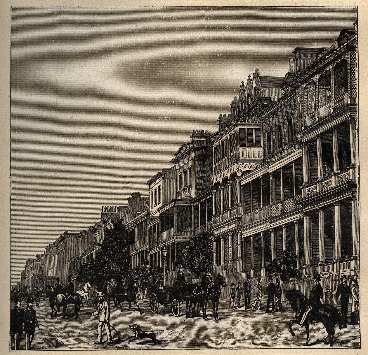 सिडनी - ऑस्ट्रेलिया - 1890 - उत्कीर्णन 1890 द्वारा अनाम अनाम