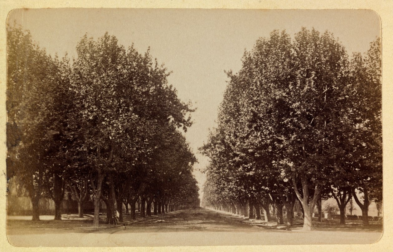 1885 -1890 के आसपास मार्सिले और उसके आसपास का शहर: प्राडो, निजी संग्रह द्वारा अनाम अनाम