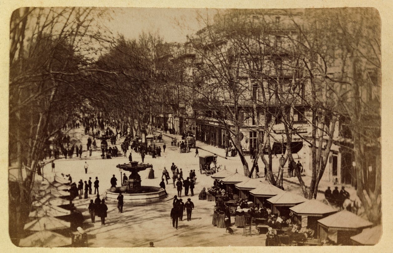 मार्सिले और उसके आसपास का शहर लगभग 1885 -1890: द फ्लावर वॉक, पाठ्यक्रम सेंट लुइस, निजी संग्रह द्वारा अनाम अनाम