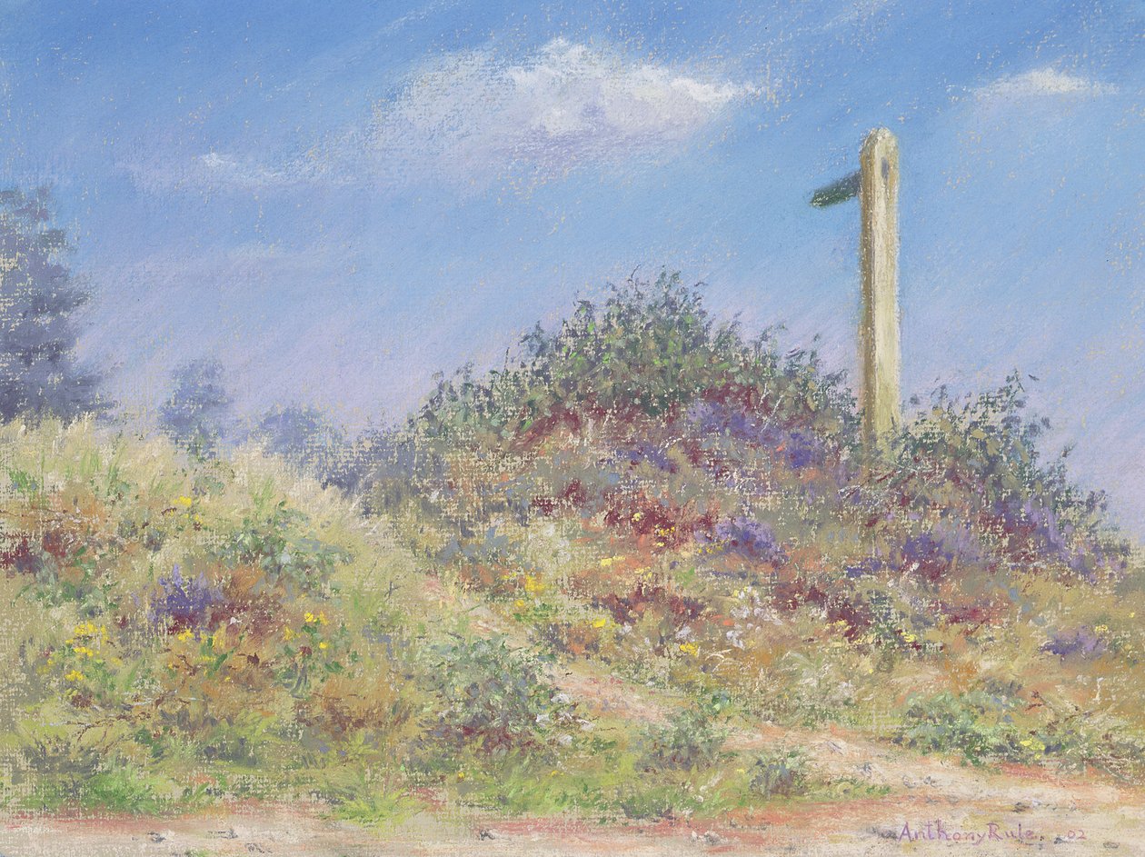 पब्लिक फुटपाथ, 2002 द्वारा एंथनी नियम