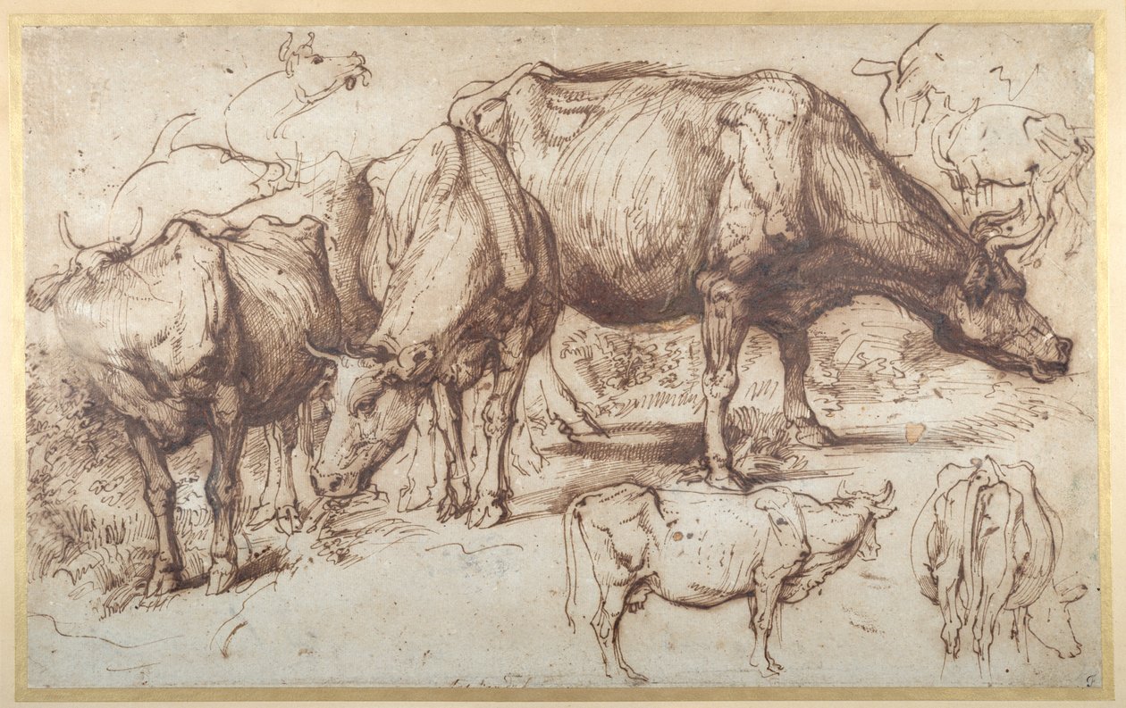 चरागाह में मवेशी, c.1618-20 (कागज पर धोने के साथ कलम और स्याही) द्वारा एंथोनी वैन डाइक