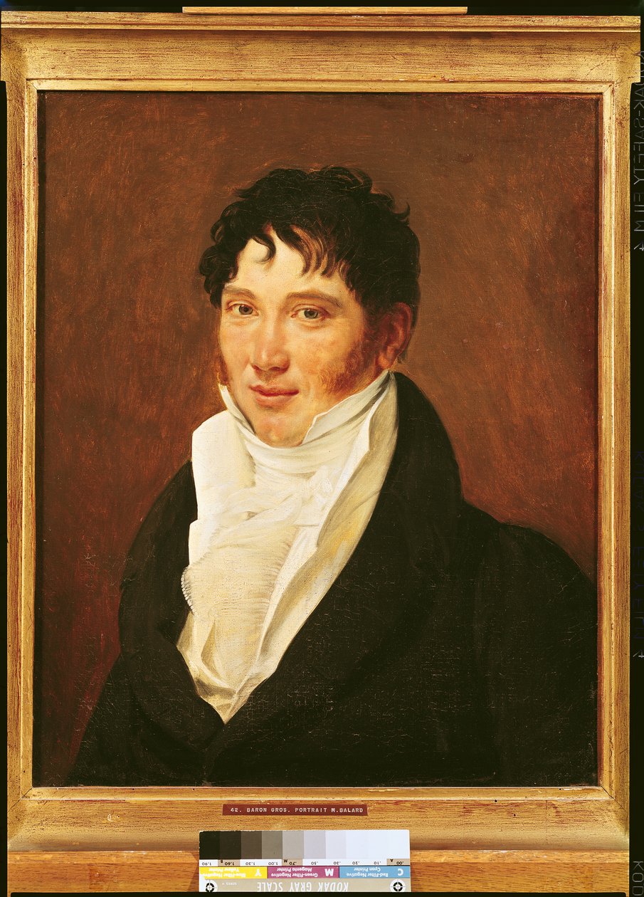 एंटोनी जेरोम बालार्ड का चित्रांकन (1802-76) द्वारा एंटोनी जीन ग्रोस