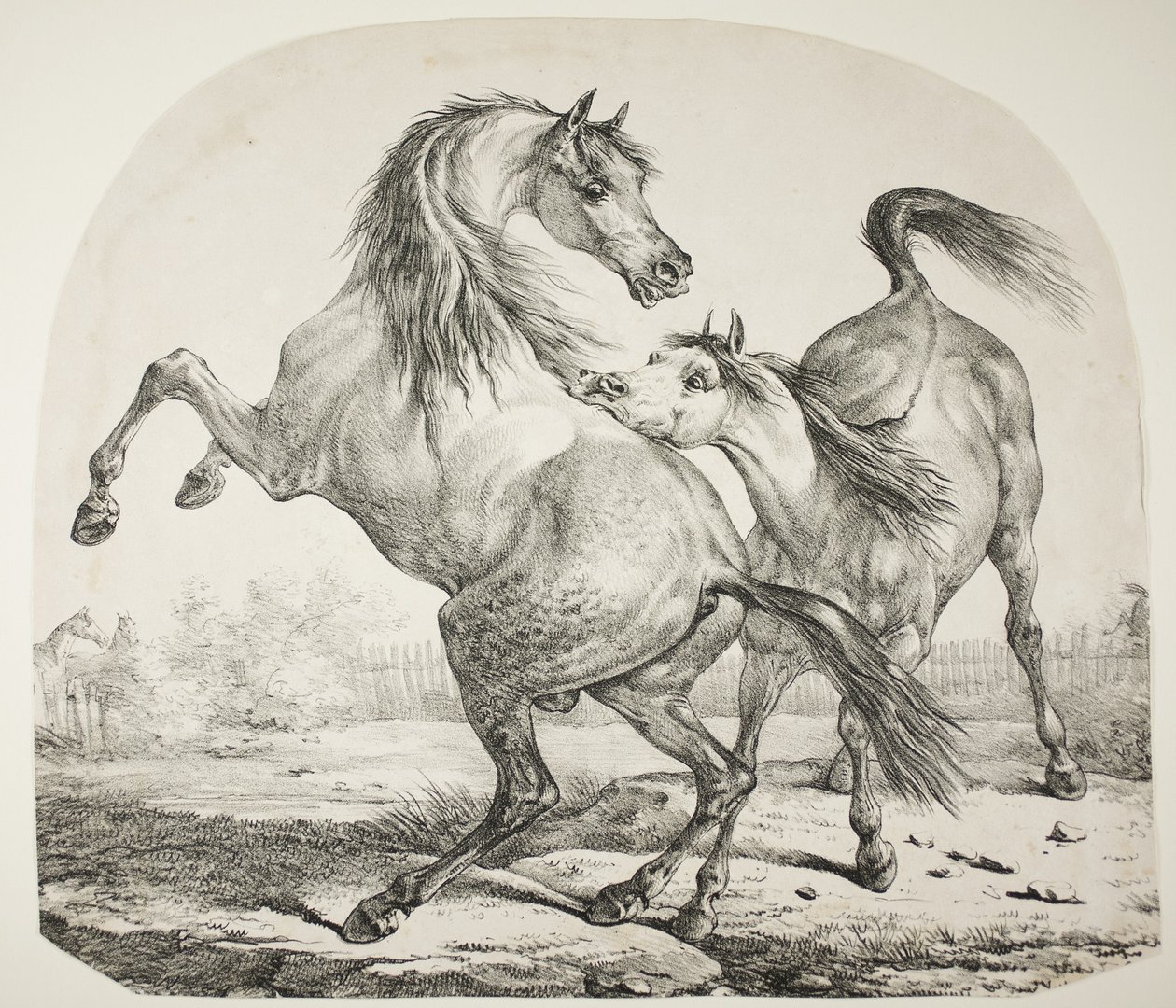 जंगली घोड़े की लड़ाई, c.1820 द्वारा एंटोनी चार्ल्स होरेस वर्नेट