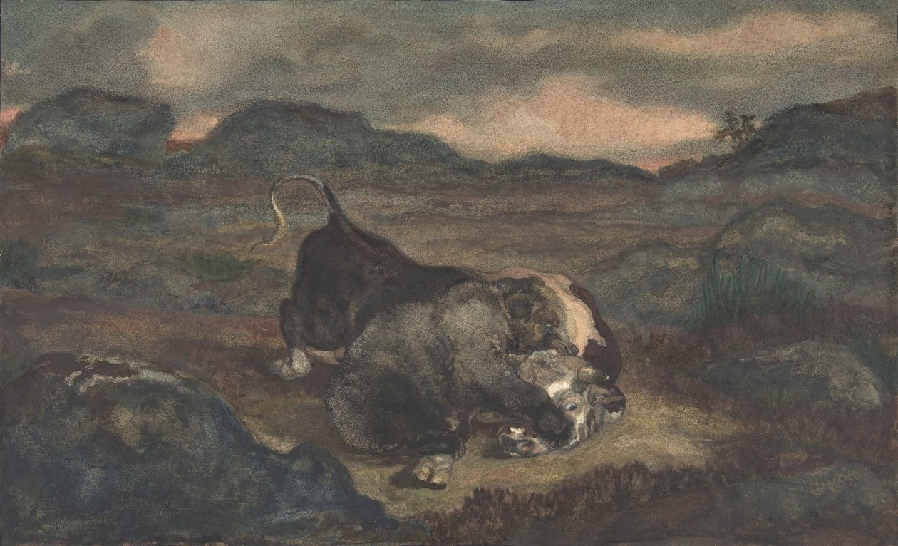 बियर किलिंग बुल, 1810-75। द्वारा एंटोनी लुइस बेरी