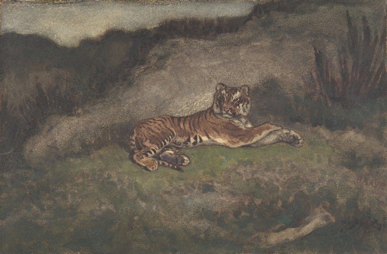 टाइगर, 1810-75। द्वारा एंटोनी लुइस बेरी
