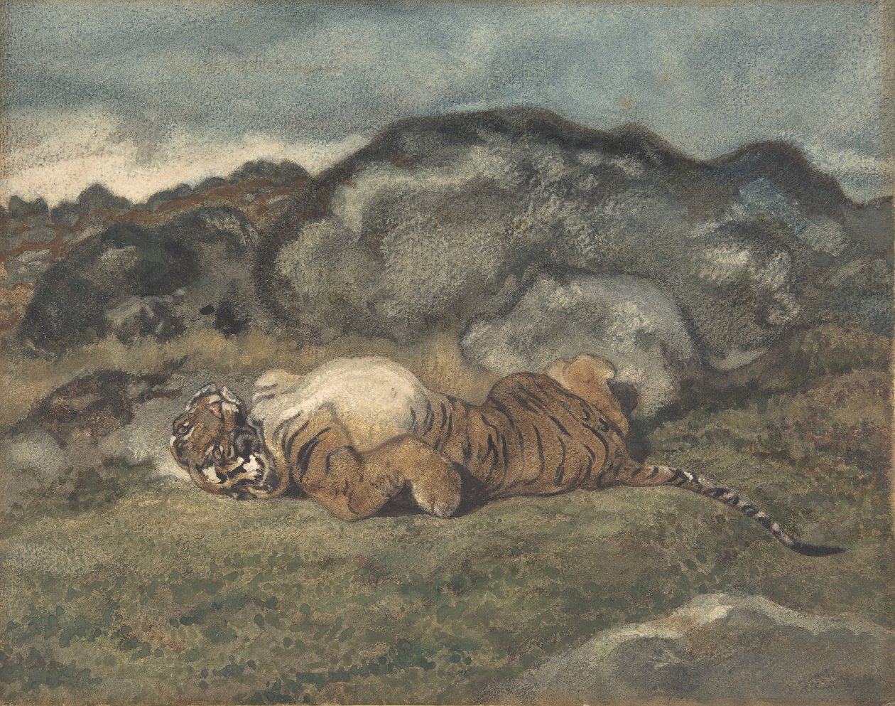 टाइगर रोलिंग ऑन इट्स बैक, 1810-75। द्वारा एंटोनी लुइस बेरी