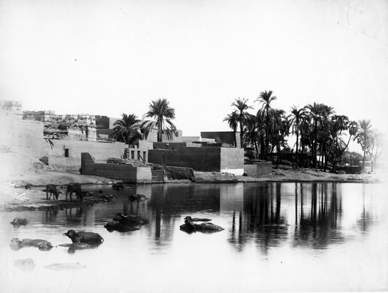 नील बोट से लक्सर सीन, c.1860-80 द्वारा एंटोनियो बीटो