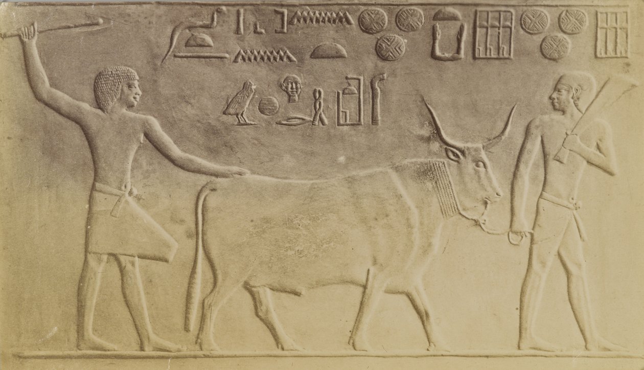 Saqqara . में पवित्र बैल द्वारा एंटोनियो बीटो