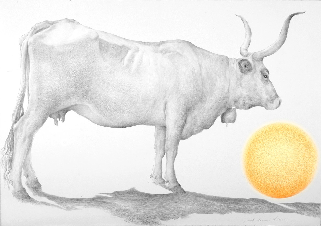 अज्ञात चित्र द्वारा एंटोनियो साइकोन