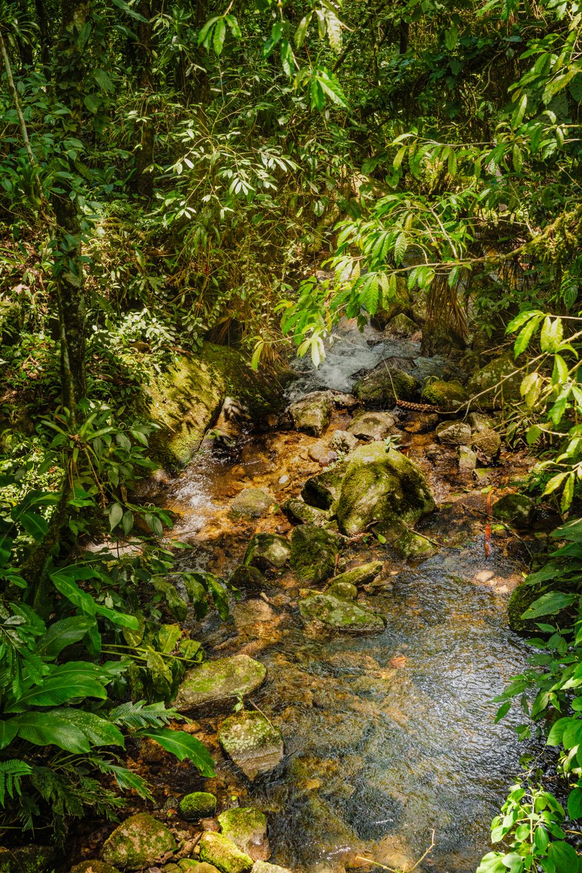  द्वारा एंटोनियो शूबर्ट