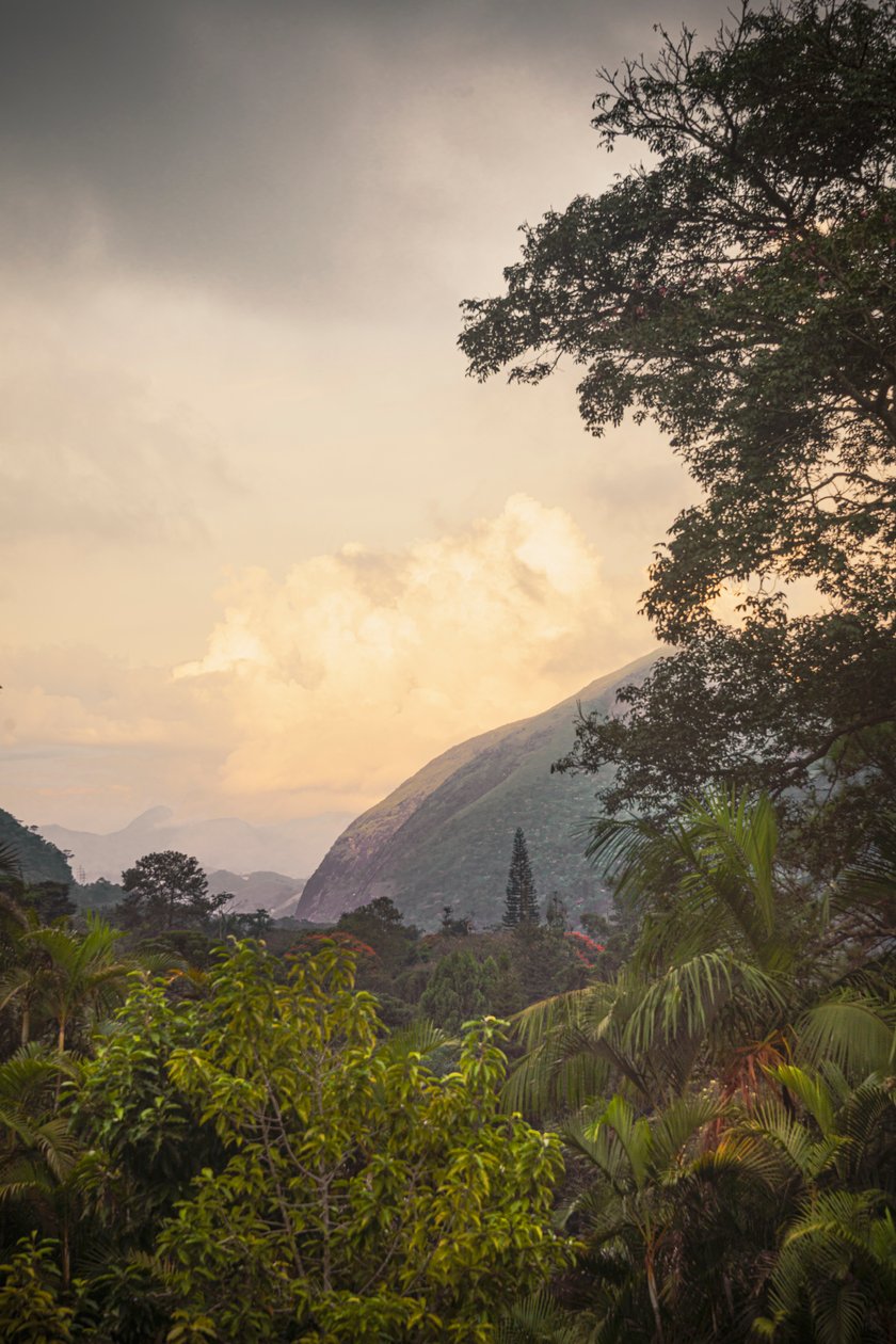  द्वारा एंटोनियो शूबर्ट