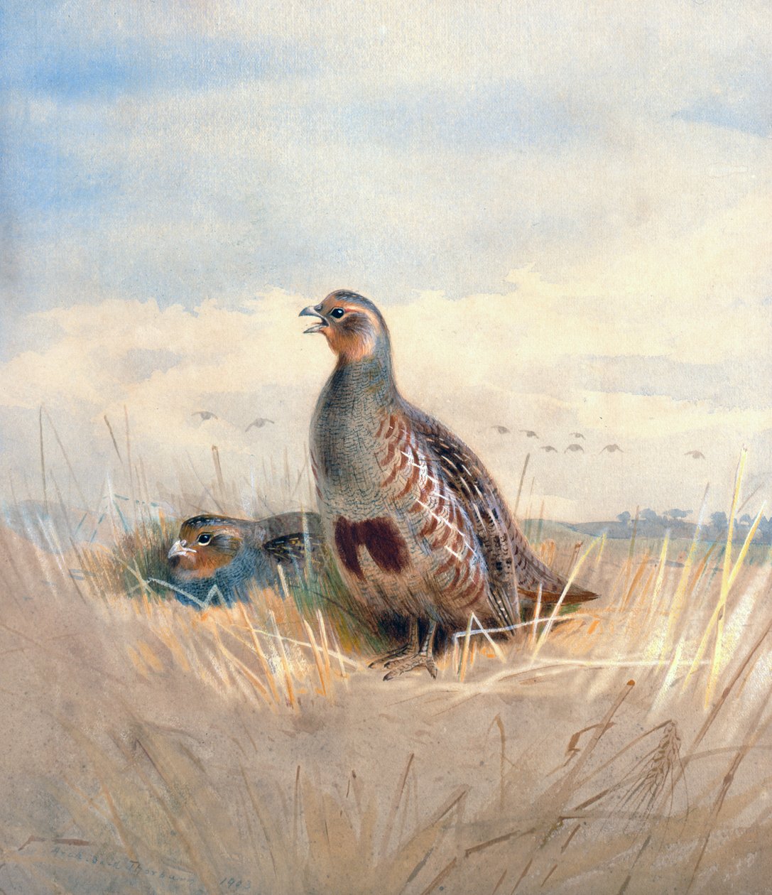 दो अंग्रेजी अंश, 1903 (wc und gouache on paper) द्वारा आर्चीबाल्ड थोरबर्न