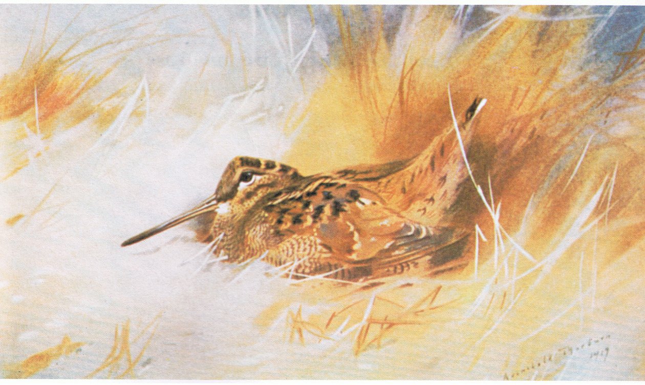 वुडकॉक, पब। बुक क्लब एसोसिएट्स, 1972 द्वारा द्वारा आर्चीबाल्ड थोरबर्न