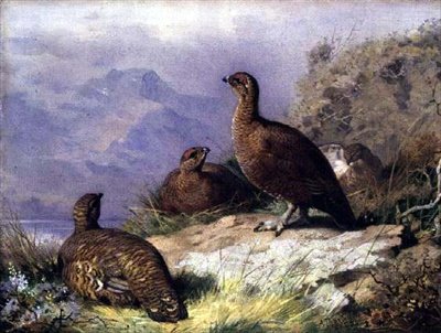 एक Loch . के तट पर लाल शिकायत द्वारा आर्चीबाल्ड थोरबर्न