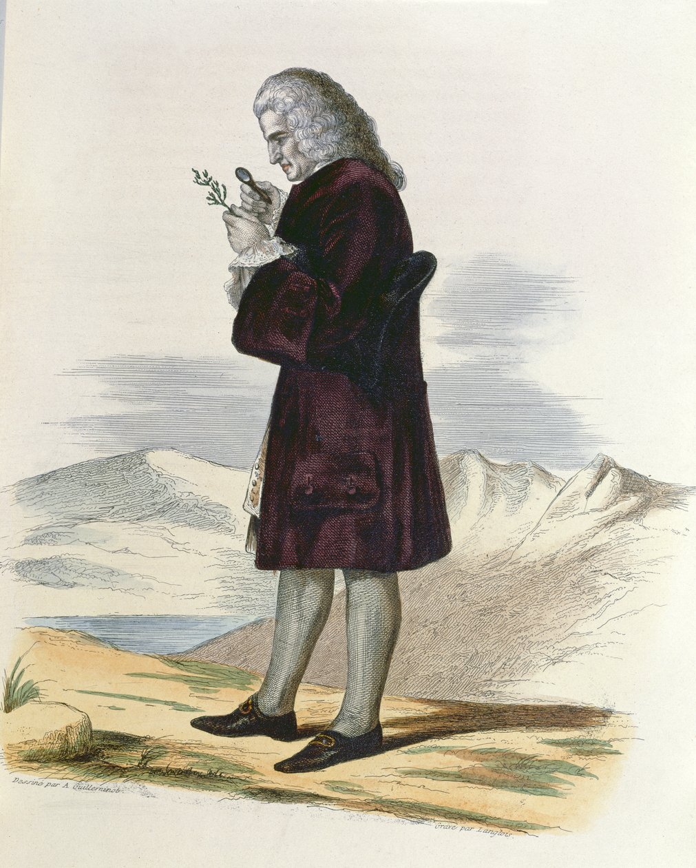 जूसियू का बर्नार्ड (1699-1777) c.1820 द्वारा आर्मंड गुइलमिनोट