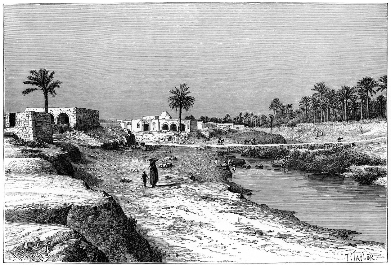 कैब्स, ट्यूनीशिया, 1895। द्वारा अरमानंद कोहल