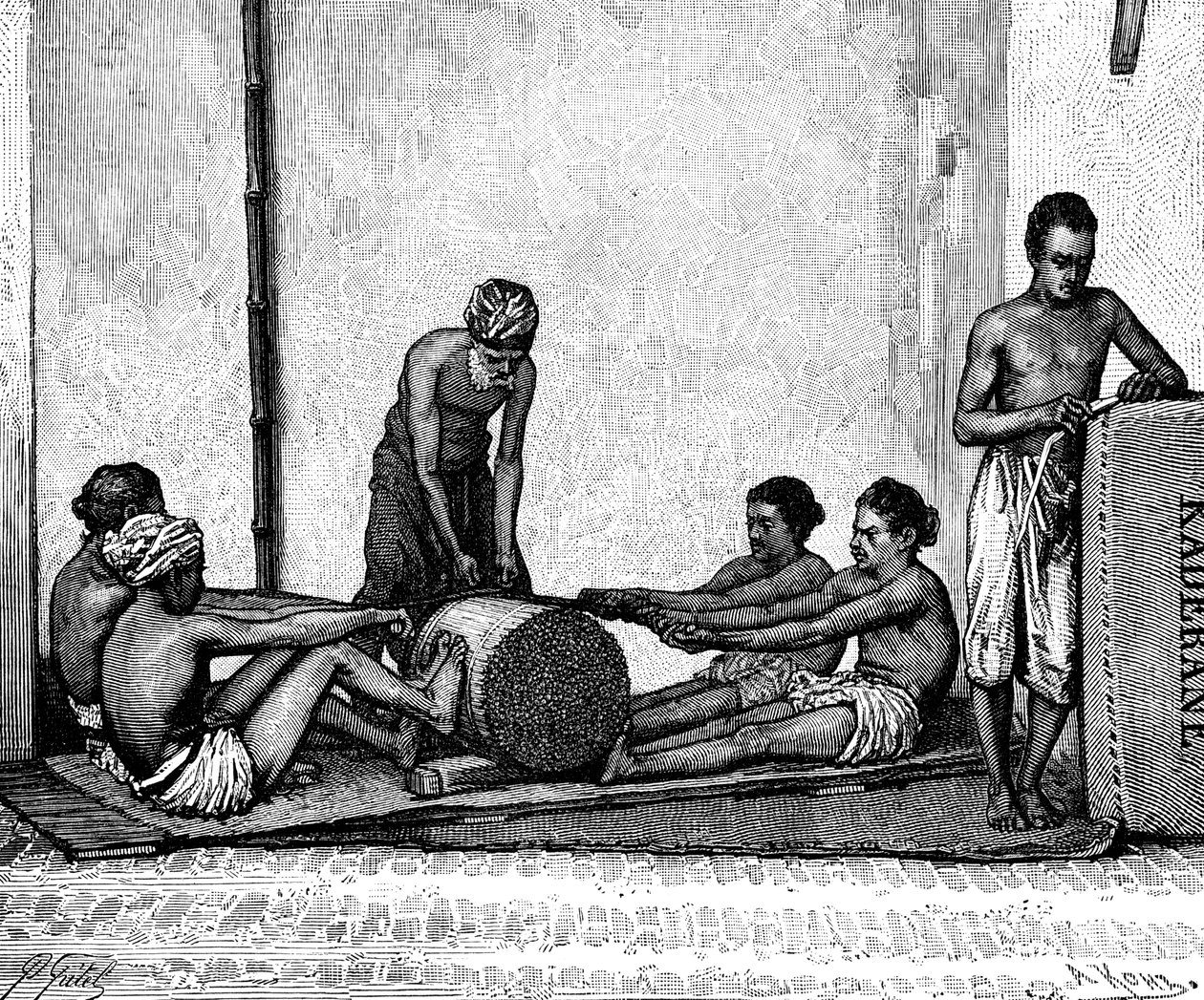 दालचीनी पैकिंग, भारत, 1895। द्वारा अरमानंद कोहल