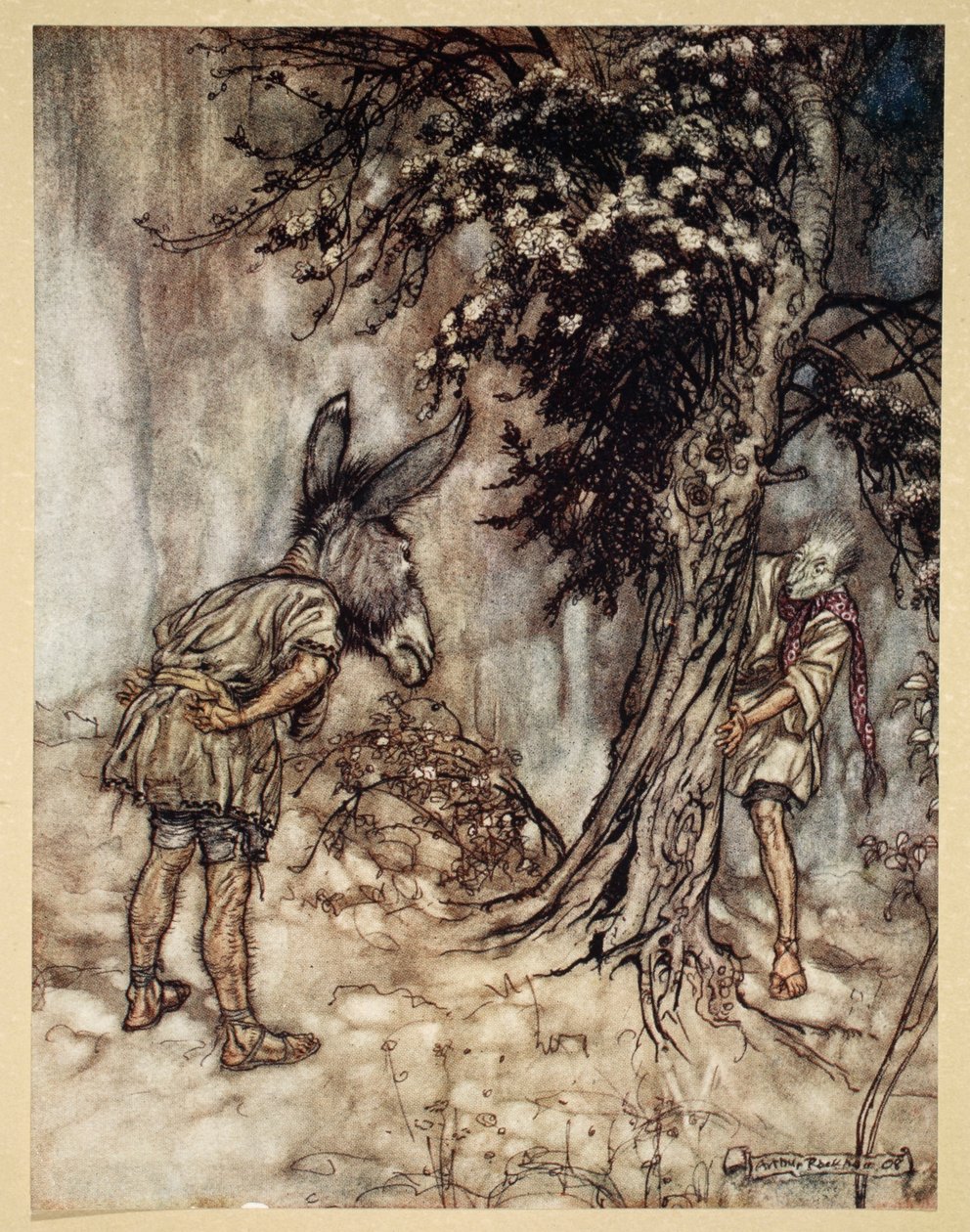 ओ बॉटम, तू बदल गया !, विलियम शेक्सपियर द्वारा 1908 में &39;मिडसमर नाइट्स ड्रीम&39; से चित्रण द्वारा आर्थर रैकहम
