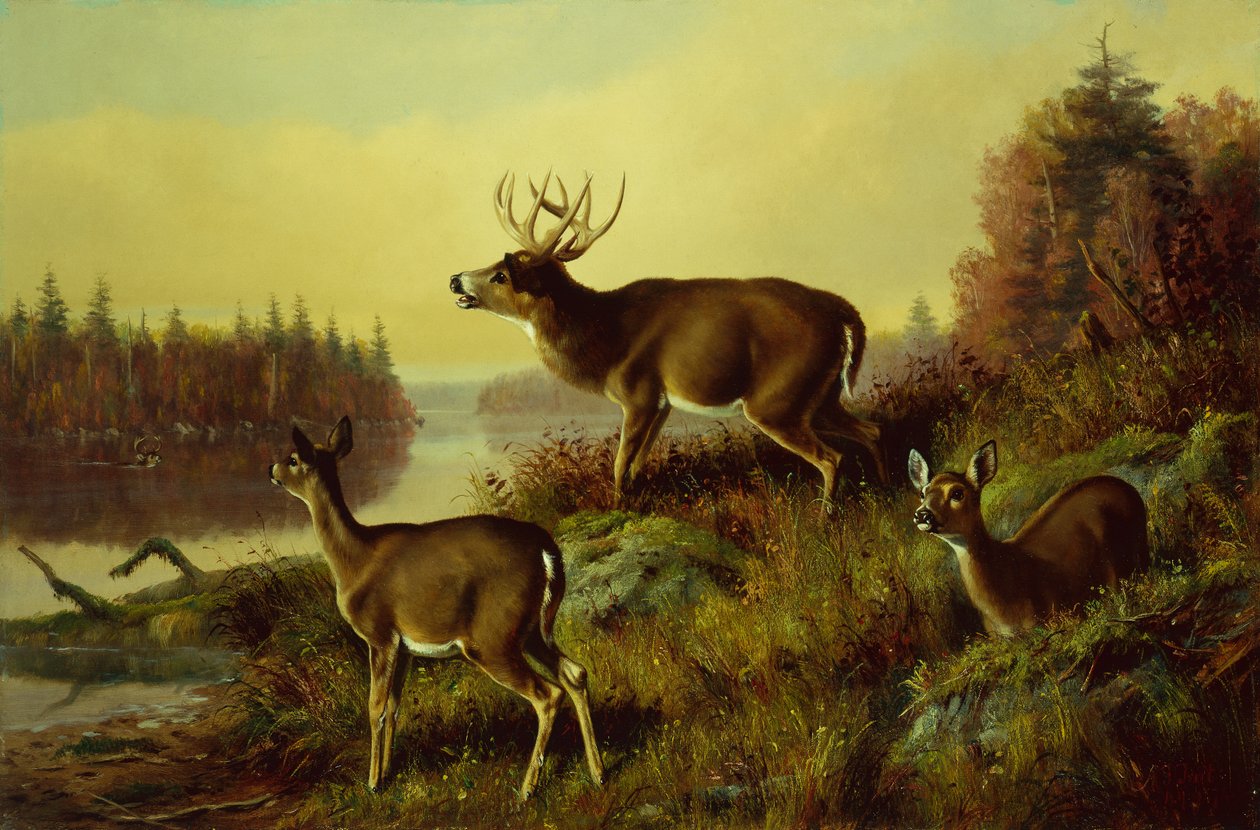  द्वारा आर्थर फिट्ज़विलियम टैट