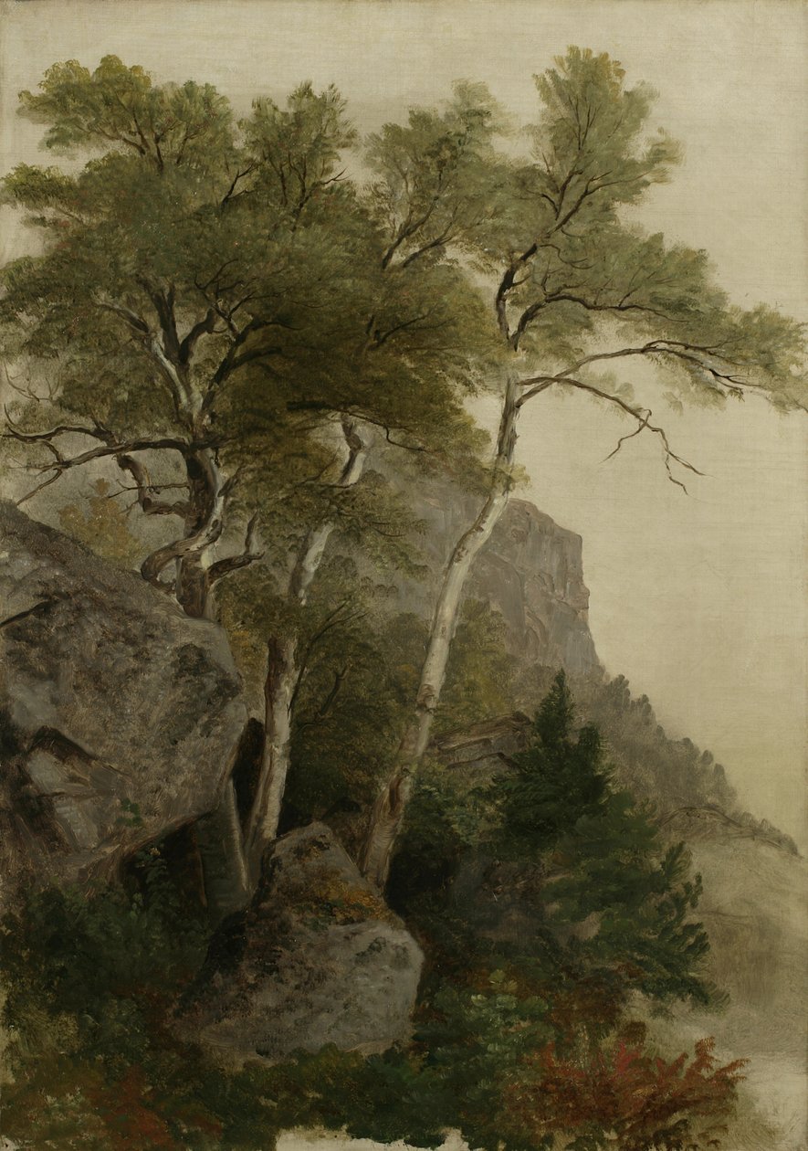 लैंडस्केप, 1855 द्वारा एशर ब्राउन डूरंड