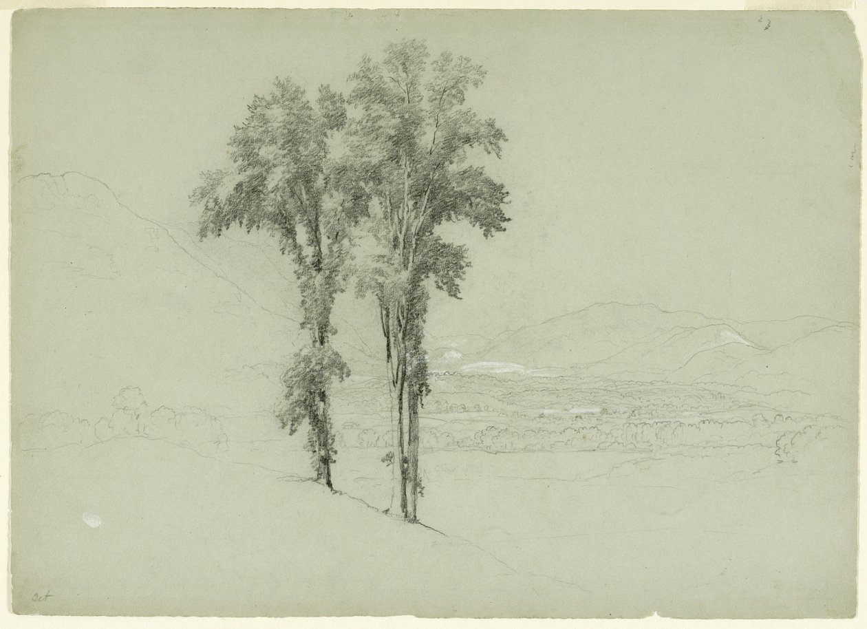 दो पेड़ों के साथ पहाड़ी लैंडस्केप, 1851 (ग्रे-ग्रीन पेपर पर ग्रेफाइट और सफेद गौचे; ग्रेफाइट); द्वारा एशर ब्राउन डूरंड