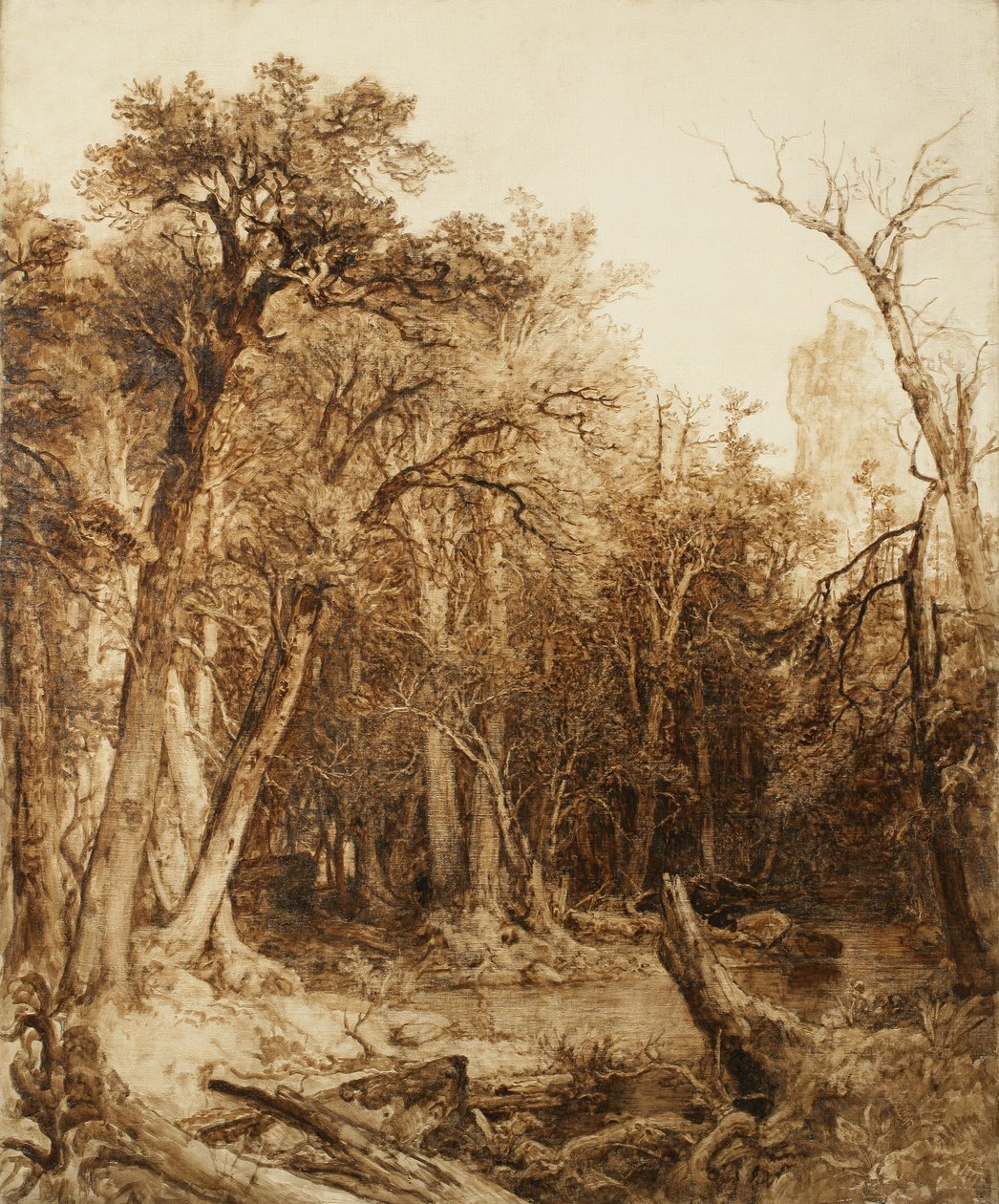 प्रचलित वन, 1854 (तेल पूर्व-मिश्रित कैनवास पर) द्वारा एशर ब्राउन डूरंड