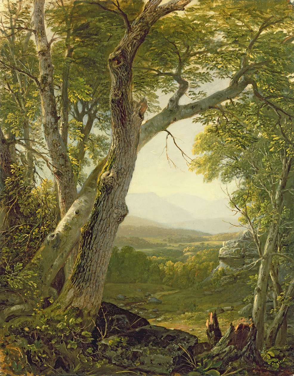 शेंडकेन रिज, किंग्स्टन, न्यूयॉर्क, c.1854 द्वारा एशर ब्राउन डूरंड