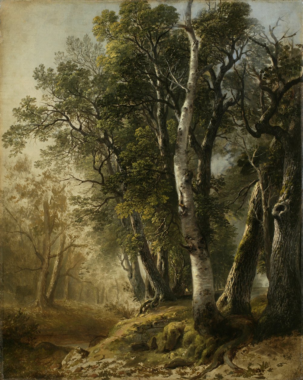 ब्रुकसाइड, किंग्स्टन, NY, 1846 द्वारा पेड़ (लिनन पर तेल) द्वारा एशर ब्राउन डूरंड