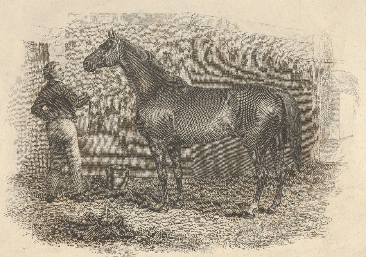 अमेरिकी ग्रहण, 1824। द्वारा एशर ब्राउन डूरंड