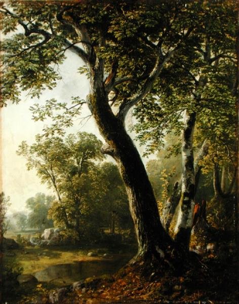 मार्बलटाउन, अल्स्टर काउंटी, न्यूयॉर्क में अध्ययन, c.1845 (कैनवास पर तेल) द्वारा एशर ब्राउन डूरंड