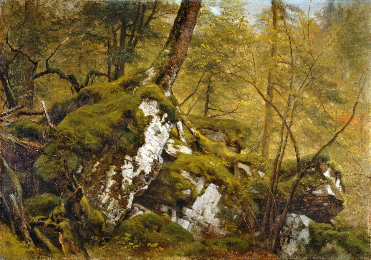 एक लकड़ी के इंटीरियर का अध्ययन, c.1855 द्वारा एशर ब्राउन डूरंड