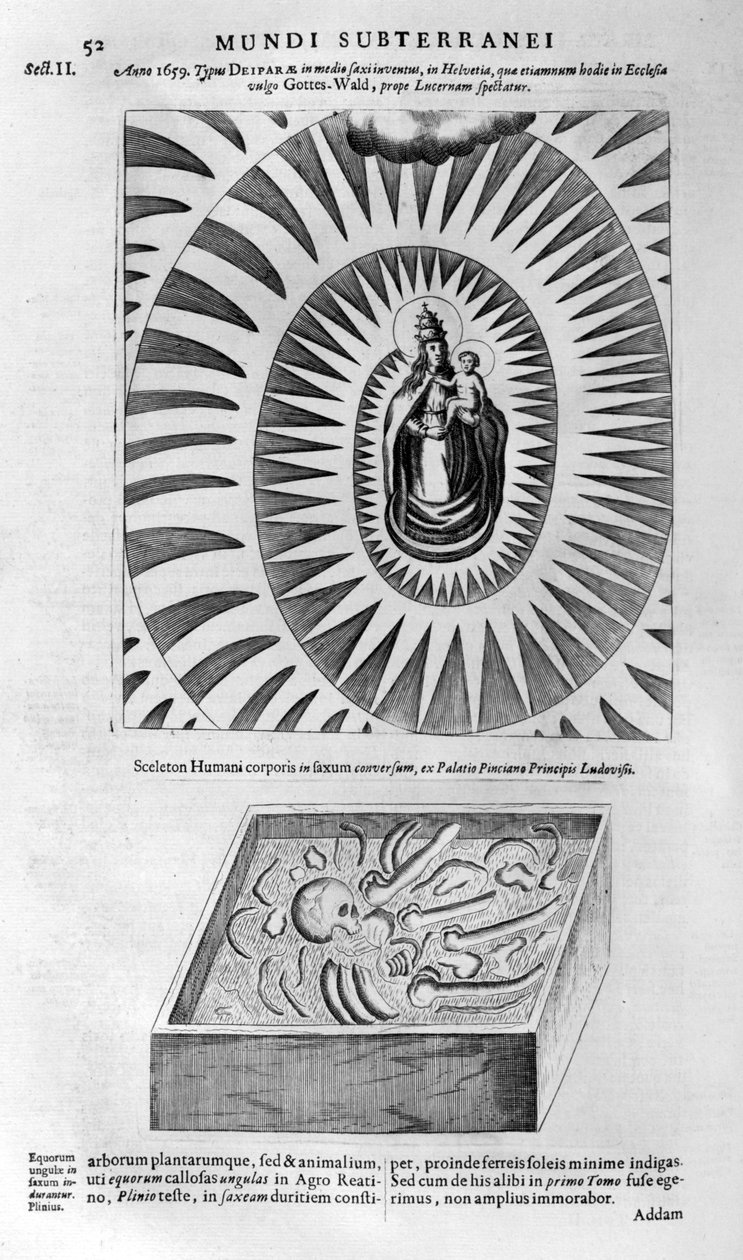 वर्जिन और बच्चे और एक मानव कंकाल, 1678 द्वारा अथानासियस किर्चर