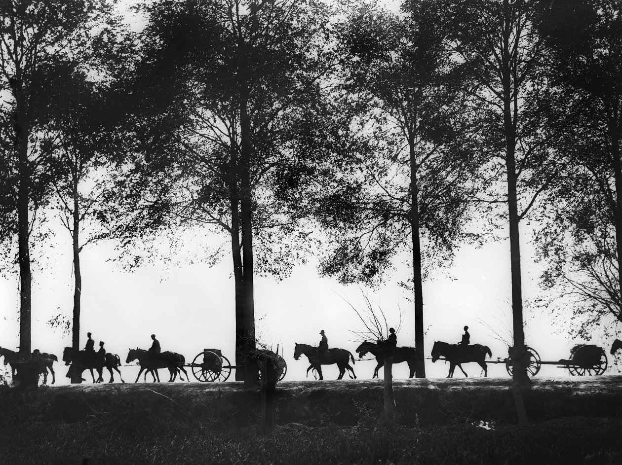 25 सितंबर, 2013 को Ypres रोड के किनारे गोला-बारूद के साथ भरी हुई ऑस्ट्रेलियाई तोपखाने के अंगों के सिल्हूट में एक दृश्य द्वारा ऑस्ट्रेलियाई फोटोग्राफर