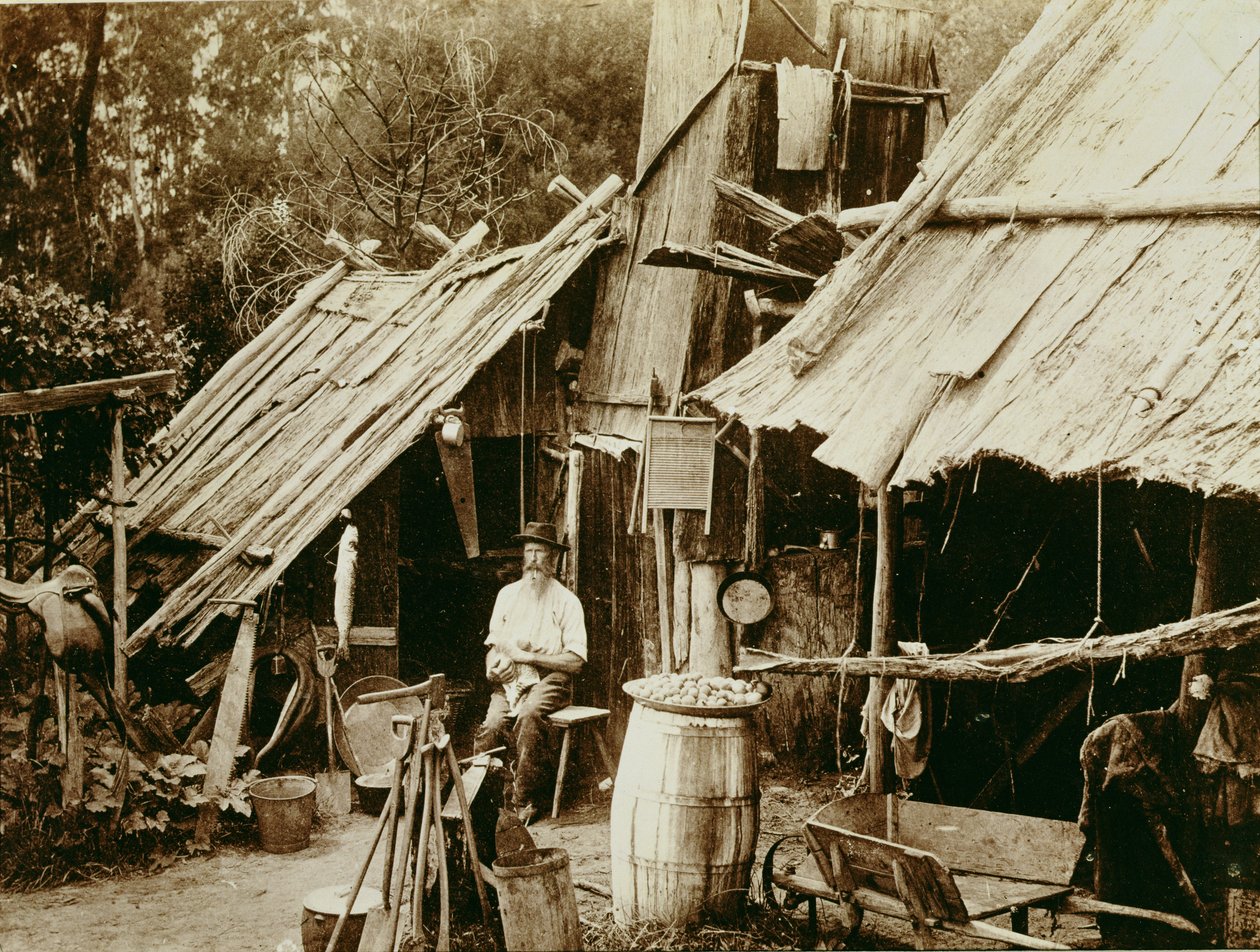 ऑस्ट्रेलियाई भविष्यवक्ता, c.1880s (सीपिया फोटो) द्वारा ऑस्ट्रेलियाई स्कूल