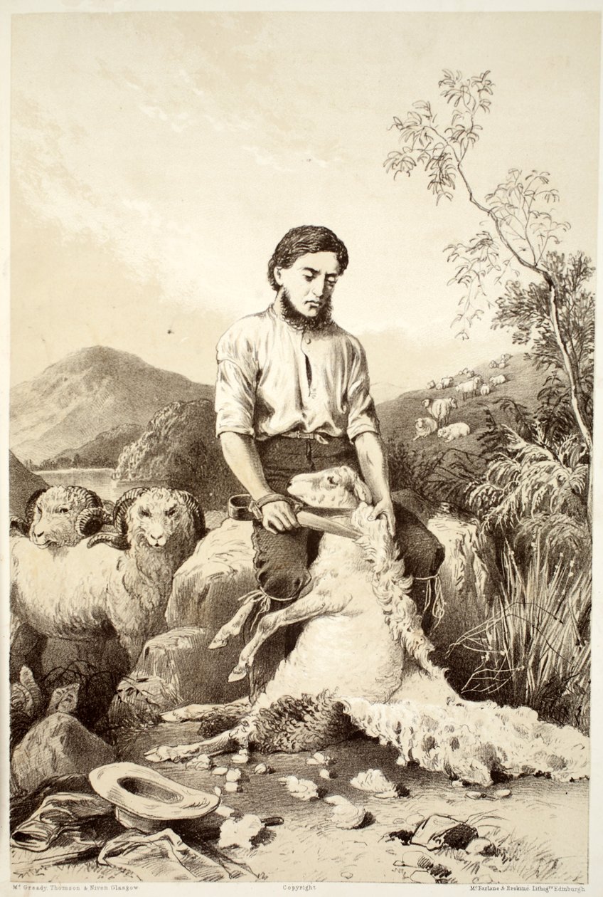 डेविड ब्लेयर, मैकग्रैडी, थॉमसन, और निवेन, 1879 द्वारा द हिस्ट्री ऑफ़ ऑस्ट्रेलेशिया द्वारा ऑस्ट्रेलियाई स्कूल