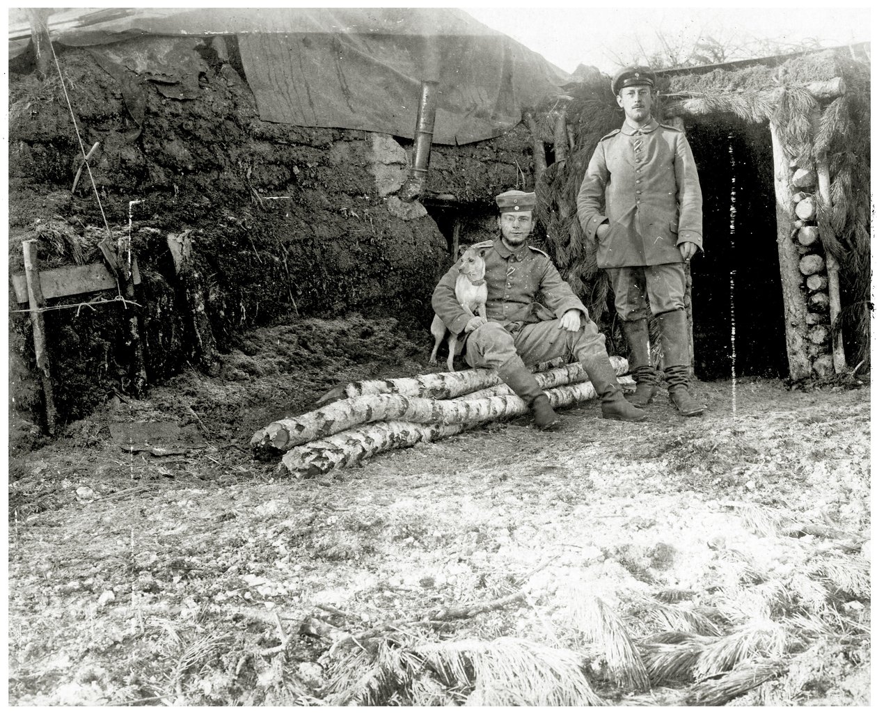 कुत्ते के साथ ऑस्ट्रियाई सैनिक, 1914-18 द्वारा ऑस्ट्रियाई फोटोग्राफर