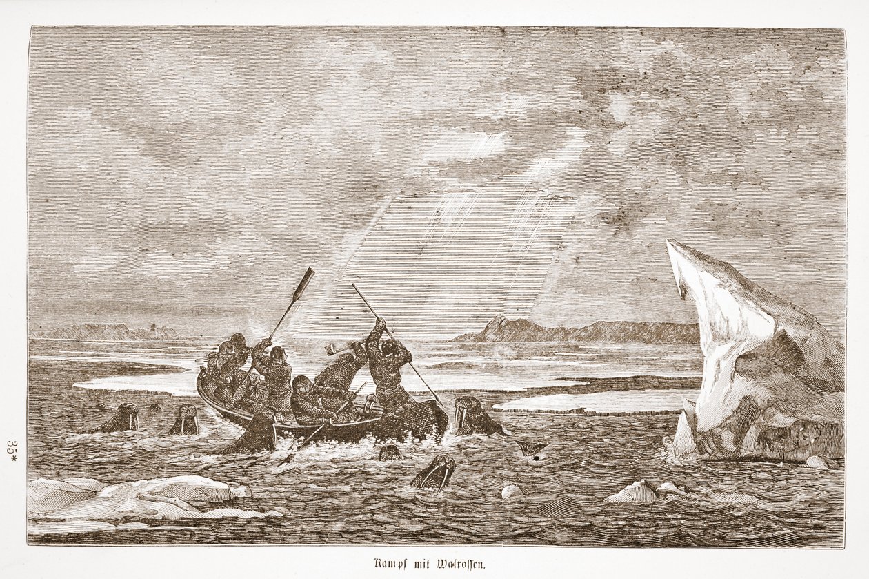 वालरस के साथ लड़ाई, 1876 द्वारा ऑस्ट्रियाई स्कूल