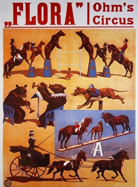 हैम्बर्ग के फ्लोरा थिएटर में पोस्टर विज्ञापन 'ओम्स सर्कस', c.1914 (कलर लिथो) द्वारा ऑस्ट्रियाई स्कूल