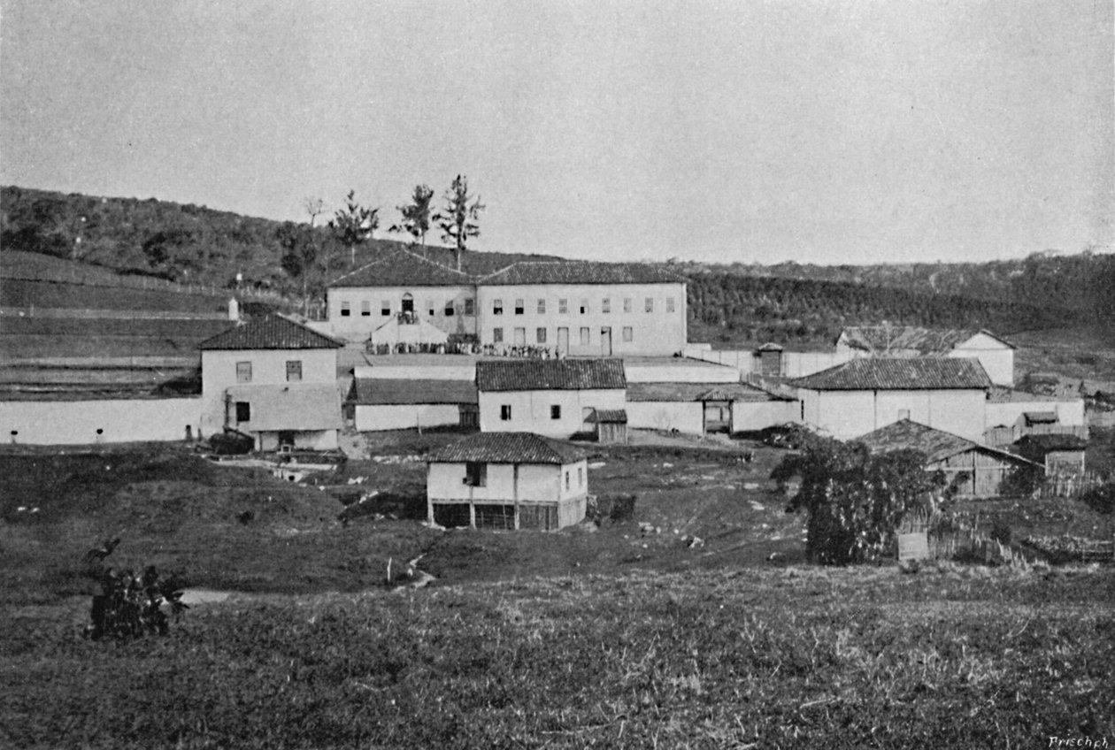 फार्म ऑफ सेट्स क्वास कैंपिनास, सेटे क्वास फार्म, 1895 द्वारा एक्सल फ्रिक