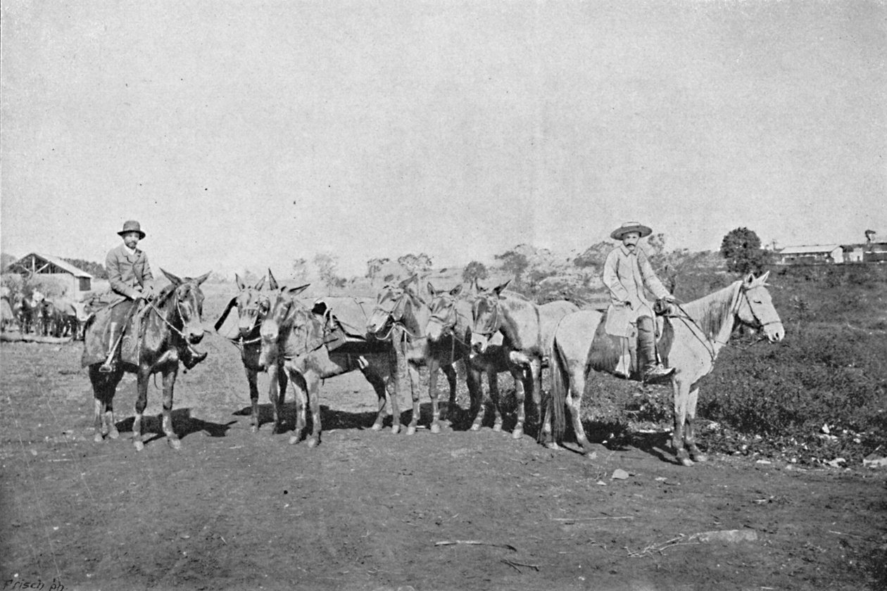 आंतरिक व्यापारियों, आंतरिक व्यापारी, 1895 द्वारा एक्सल फ्रिक