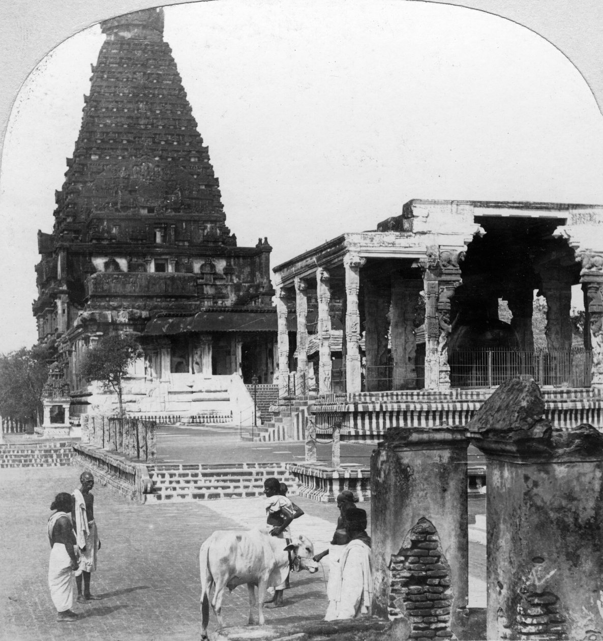 तंजौर तंजावुर, भारत का महान शिवालय, 1902। द्वारा बीएल सिंगली