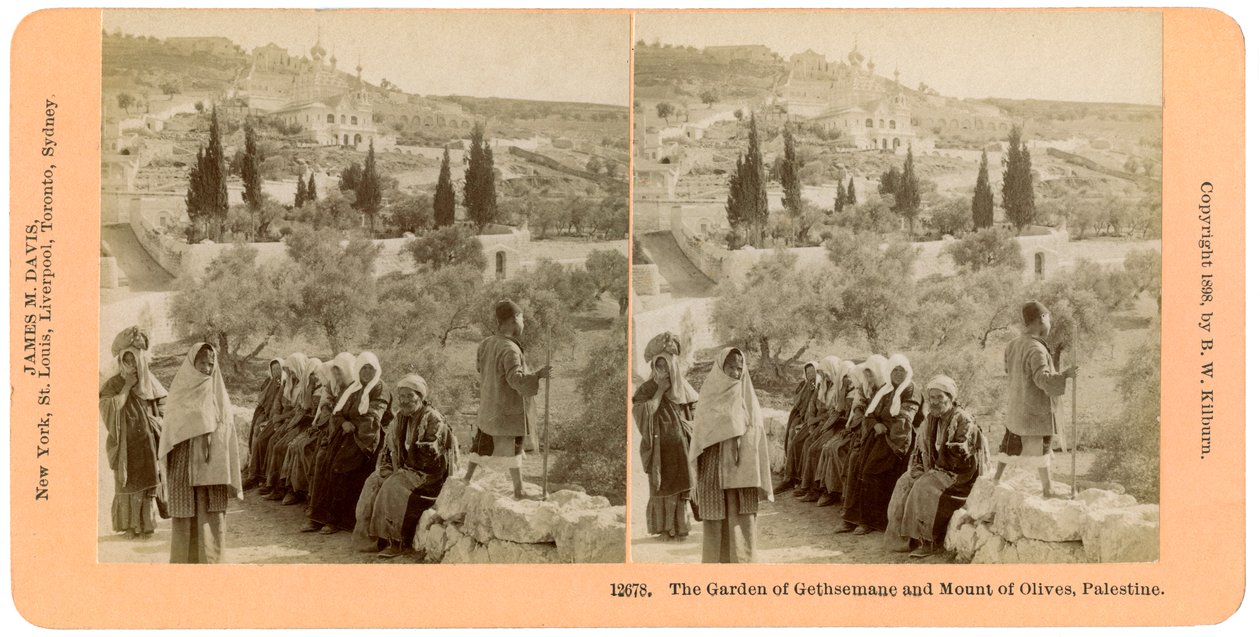 गेथसमेन का बगीचा और जैतून, फिलिस्तीन का पर्वत, 1898। द्वारा बीडब्ल्यू किलबर्न