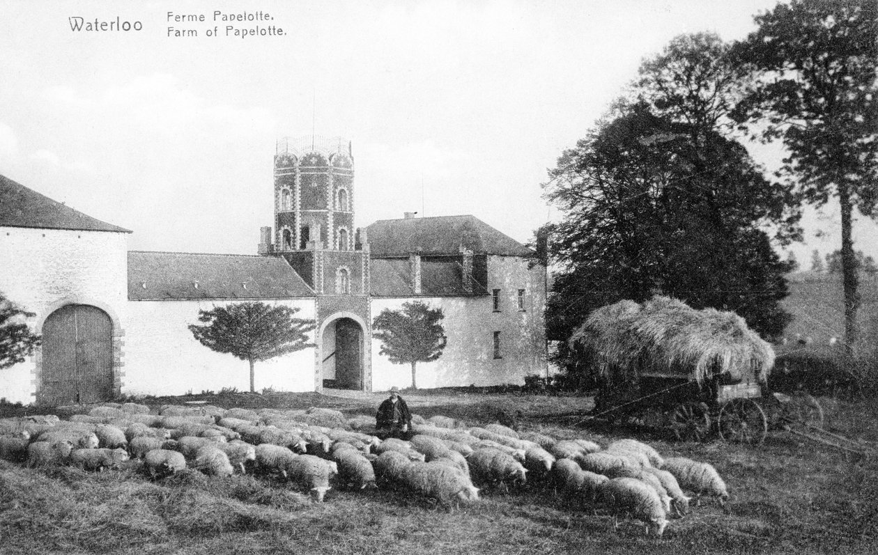 वाटरलू, स्मारक पोस्टकार्ड, c.1912 (फोटोलिथो) की लड़ाई के दौरान वेलिंगटन के लिए एक महत्वपूर्ण रणनीतिक स्थल पैपेलोट का खेत द्वारा बेल्जियम का फोटोग्राफर