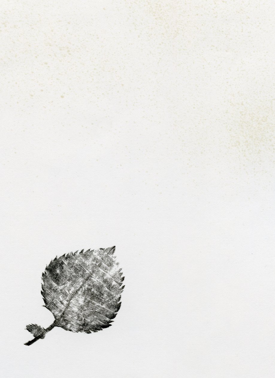 लीफ {फे-एरी डस्ट}, 2014 (लकड़ी की नक्काशी और कागज पर स्याही) द्वारा बेला लार्सन