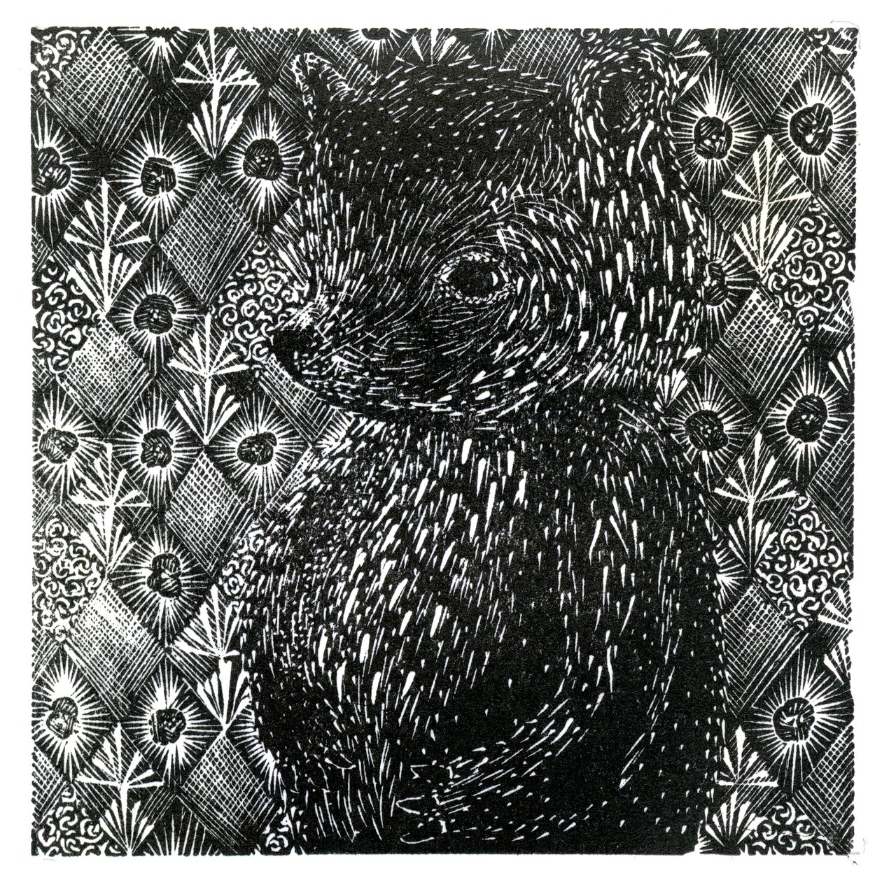 उर्सस आर्कटोस एस.एस.पी. घरेलू, 2013 (कागज पर लकड़ी की नक्काशी) द्वारा बेला लार्सन