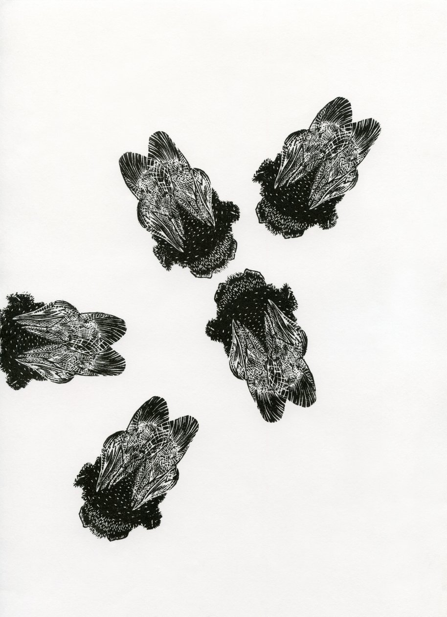 Bumblebees की बैठक, 2013 (कागज पर लकड़ी की नक्काशी) द्वारा बेला लार्सन