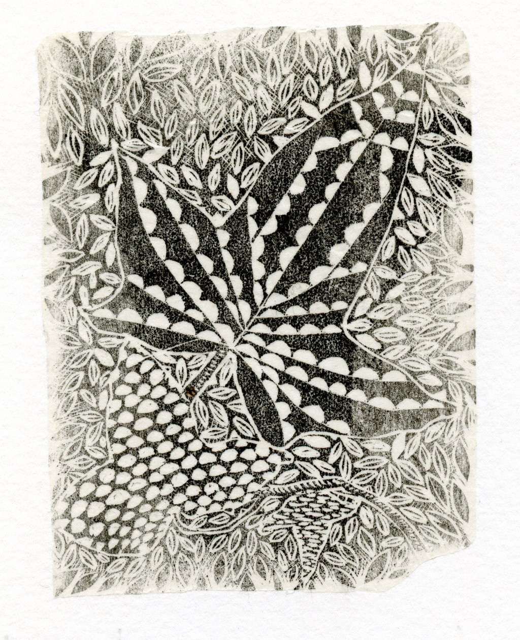 आइवी, 2014, (कागज पर उकेरी जाने वाली लकड़ी) द्वारा बेला लार्सन