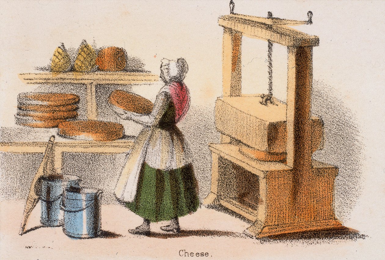पनीर, c1845। द्वारा बेंजामिन वॉटरहाउस हॉकिन्स